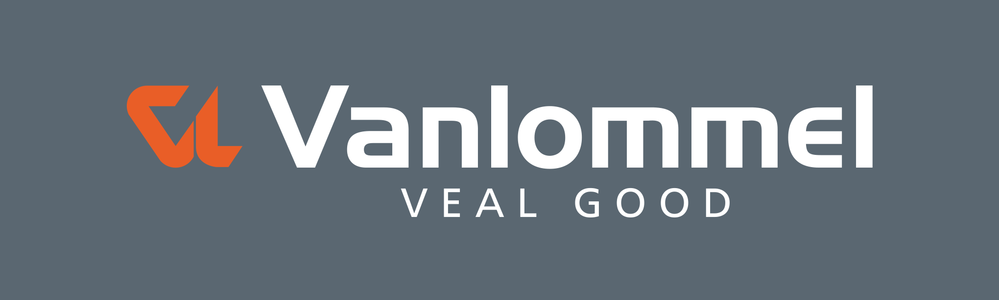 VANLOMMEL GROUP