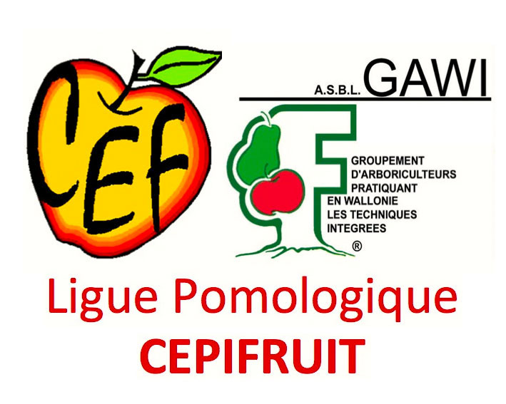 CEPIFRUIT ASBL