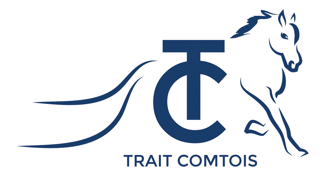 CHEVAL TRAIT COMTOIS