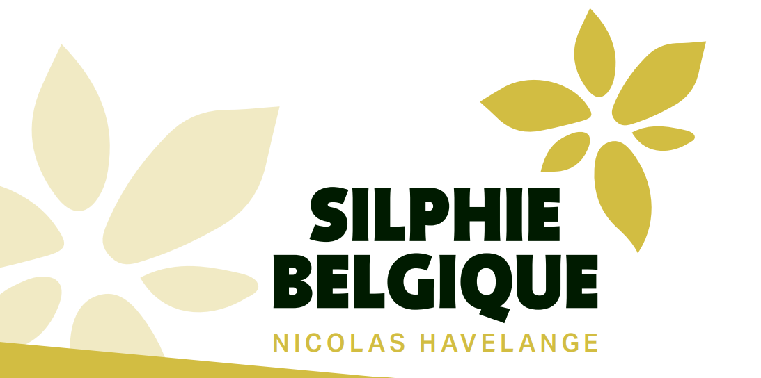 SILPHIE BELGIQUE